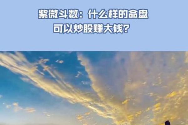 紫薇斗数炒股发财