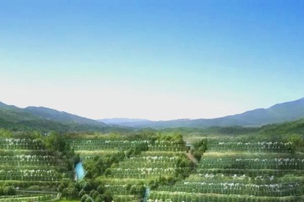 人丁兴旺的风水墓地