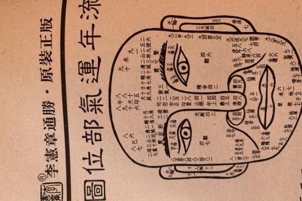 周易算命看面相