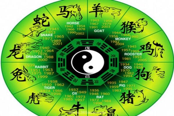 企业与风水答案