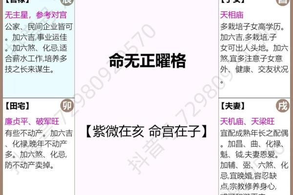 紫薇斗数配偶家世