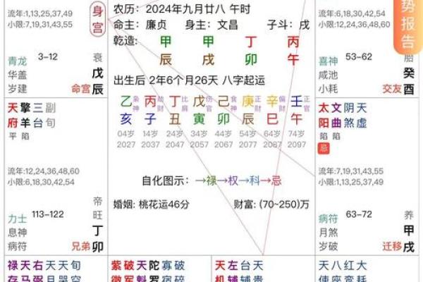 八字排盘软件安易居