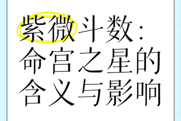 紫微斗数命盘怎么看星