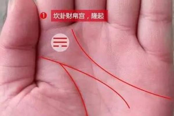 朱砂掌算命，手掌红就是朱砂掌吗？