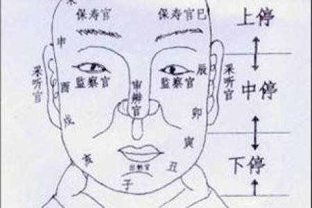 周易算命看面相