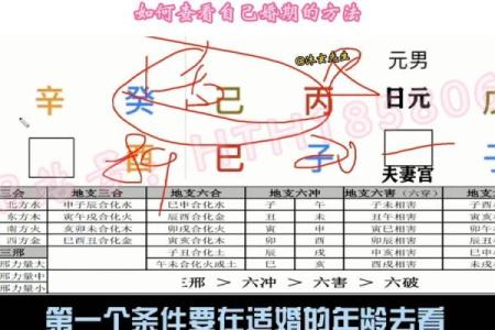 周易四柱算命姻缘测算财运测算在线预测