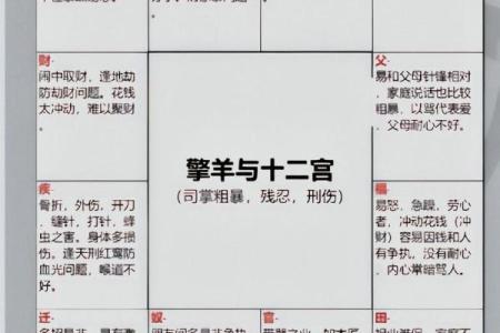 紫薇斗数12宫位