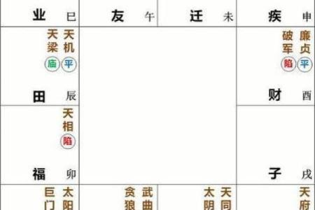 紫微斗数夫妻宫在亥无主星 加桃花主配偶有艺术才能