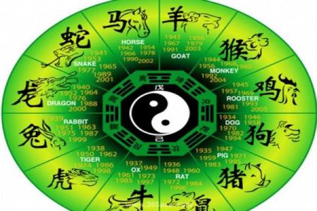 企业与风水答案