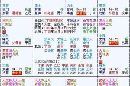 紫薇斗数看文采