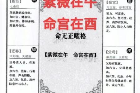 紫微斗数之官禄宫在未宫 ，是什么意思？