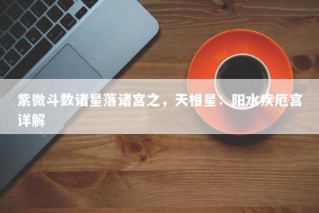 紫微斗数诸星落诸宫之，天相星：阳水疾厄宫详解