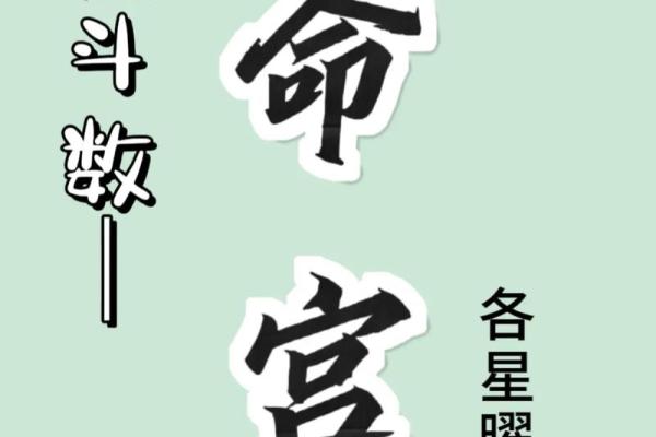 紫薇斗数中的天贵