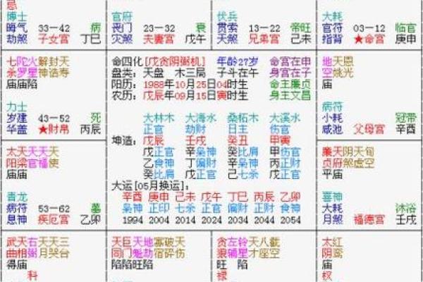紫微斗数简说紫薇