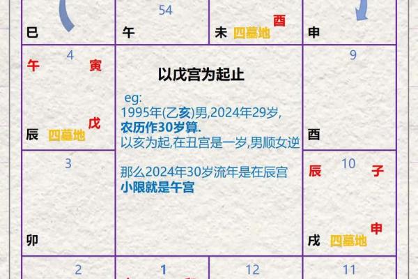 紫薇斗数掌决