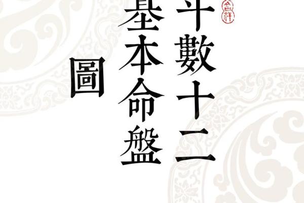 紫薇斗数掌决