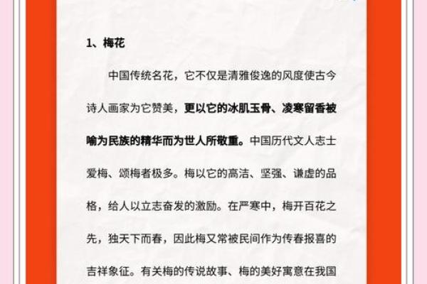 关于梅花的寓意和象征风水