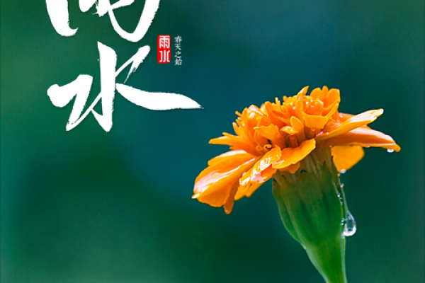 明天雨水，要谨防节气风水禁忌