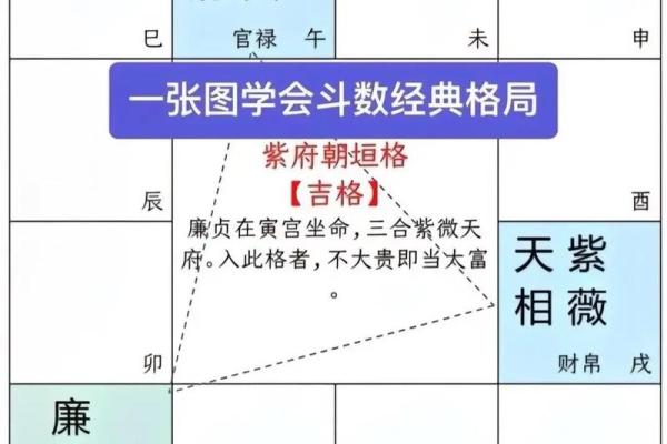 紫微斗数命理网 紫微斗数命理学正解？
