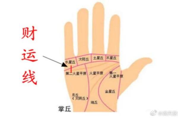 手相-掌丘算命图解