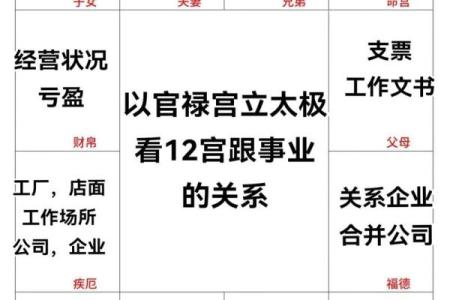 紫薇斗数看领导