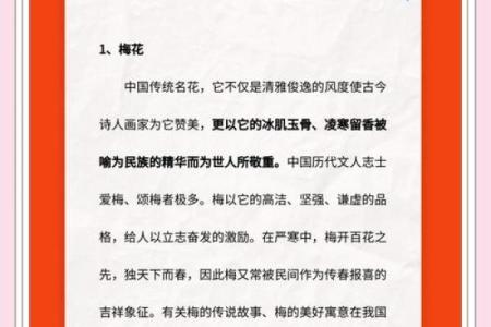 关于梅花的寓意和象征风水