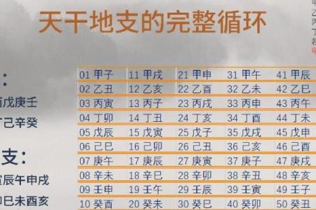 有博士学位的八字分析算命