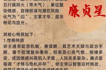 紫微斗数之：论事业