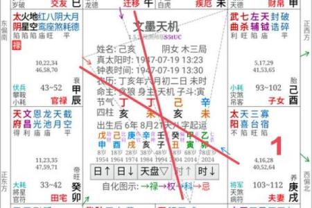 紫微斗数太阳太阴在疾厄宫
