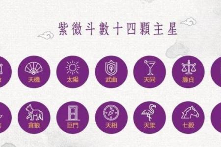 紫薇斗数丁酉方位