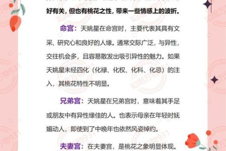 紫微斗数财运为负 紫微斗数看财运级别？