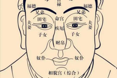 紫薇斗数中的坐守是什么