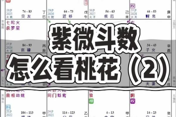 紫薇斗数2婚怎么看