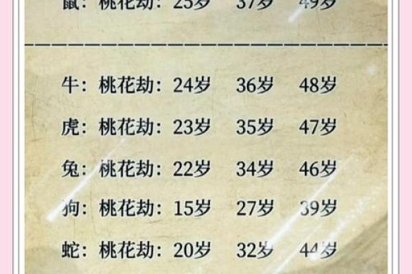 算命破桃花劫