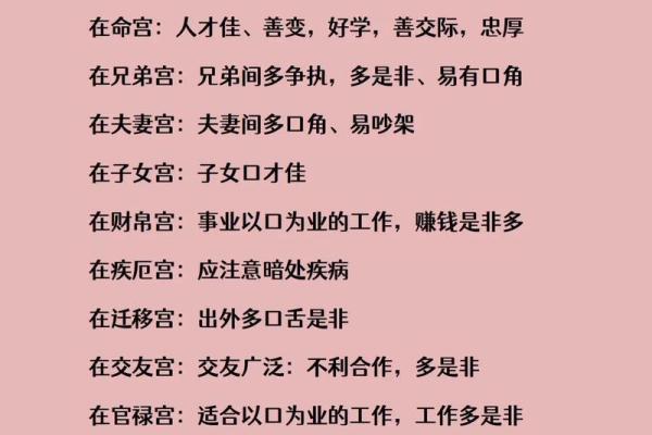紫薇斗数绝密