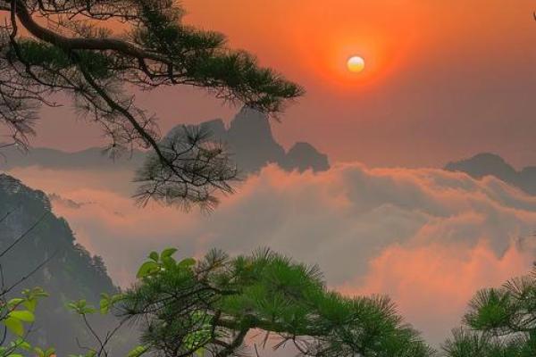 山顶老人的风水