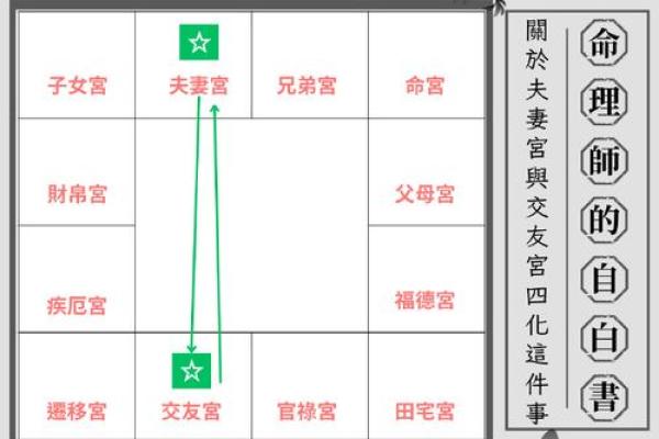 紫薇斗数不入格