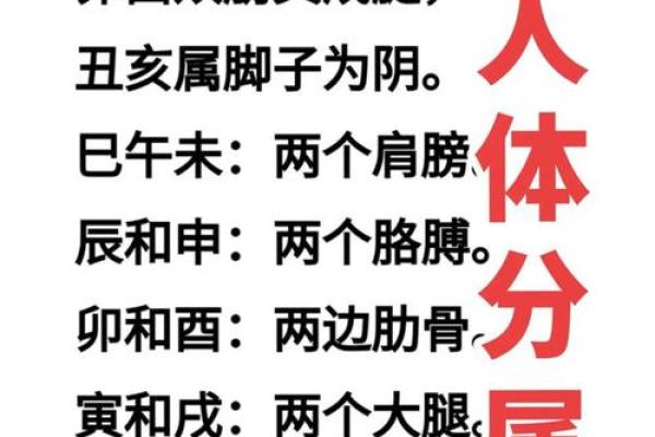 八字有了怎么算命