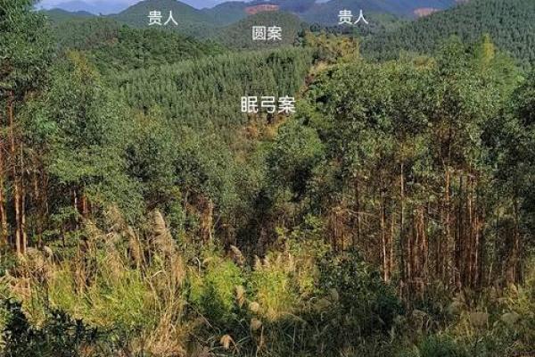 如何看风水农村坟地风水好不好