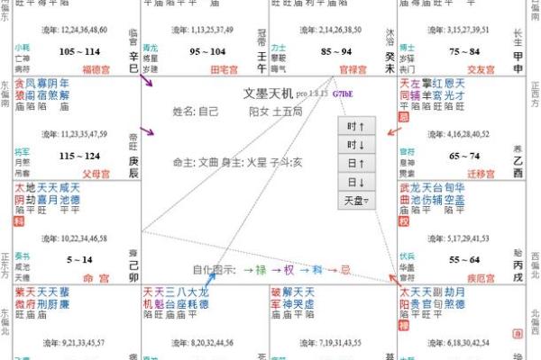 紫薇权贪狼在疾厄宫