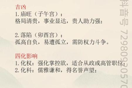 紫微斗数置闰 紫微斗数术语？