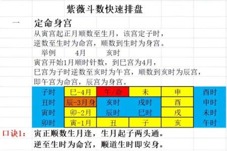 紫薇斗数命盘案例