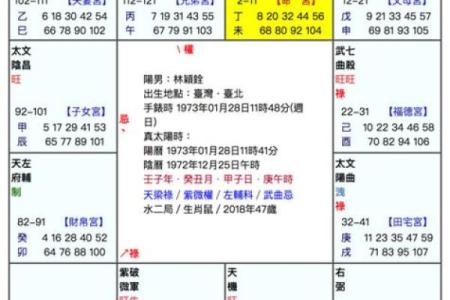命格查询紫薇斗数
