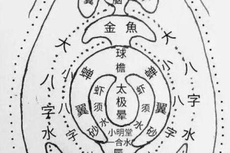 风水学中的穴位，都有哪些禁忌