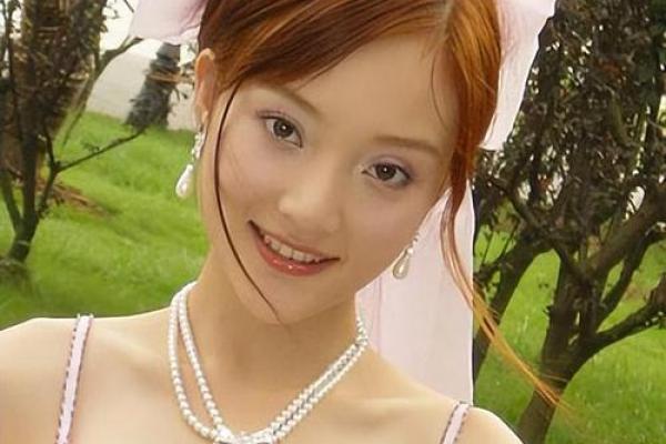 李小璐紫薇斗数盘