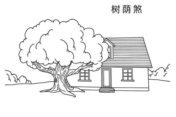 房子墙边长树风水好吗