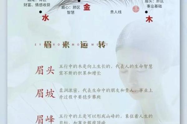 面相风水女人十大富贵眉毛你有吗