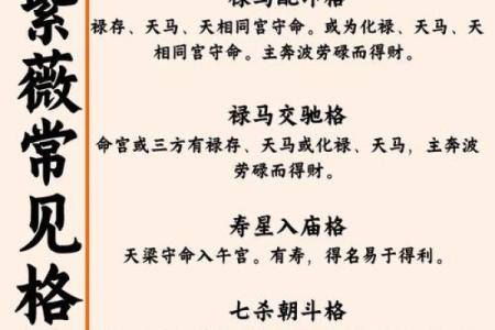 命理学中常用的风水术语有哪些