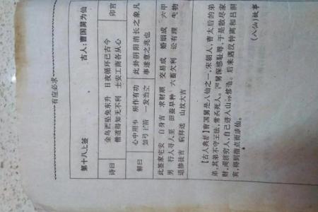 在线观音灵签解签82