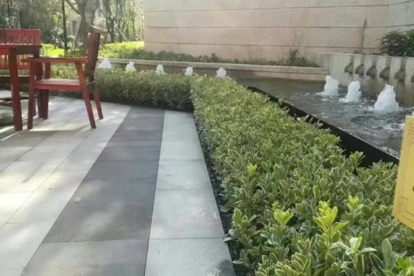 地势洼的房子风水